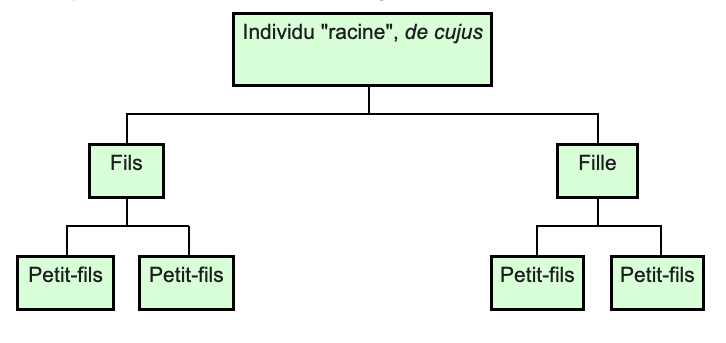 Genealogie descendante